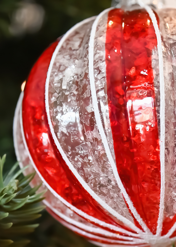 Ornament by Alleesha MacDonald